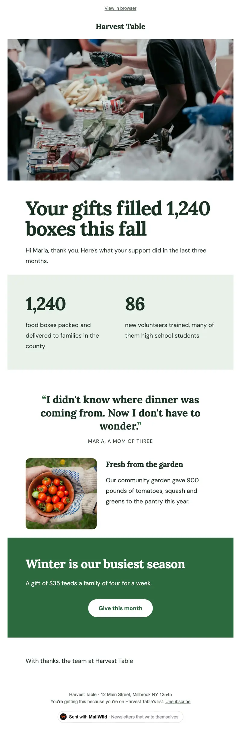 A MailWild newsletter in the Impact Update look: a photo of volunteers packing food, a headline about 1,240 food boxes, two big numbers on a soft green band, a quote from a mom, a garden photo and a green Give this month band.